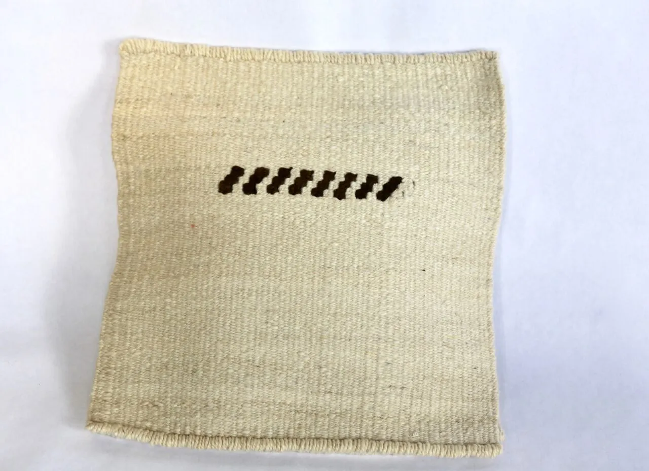 Ami Pillow