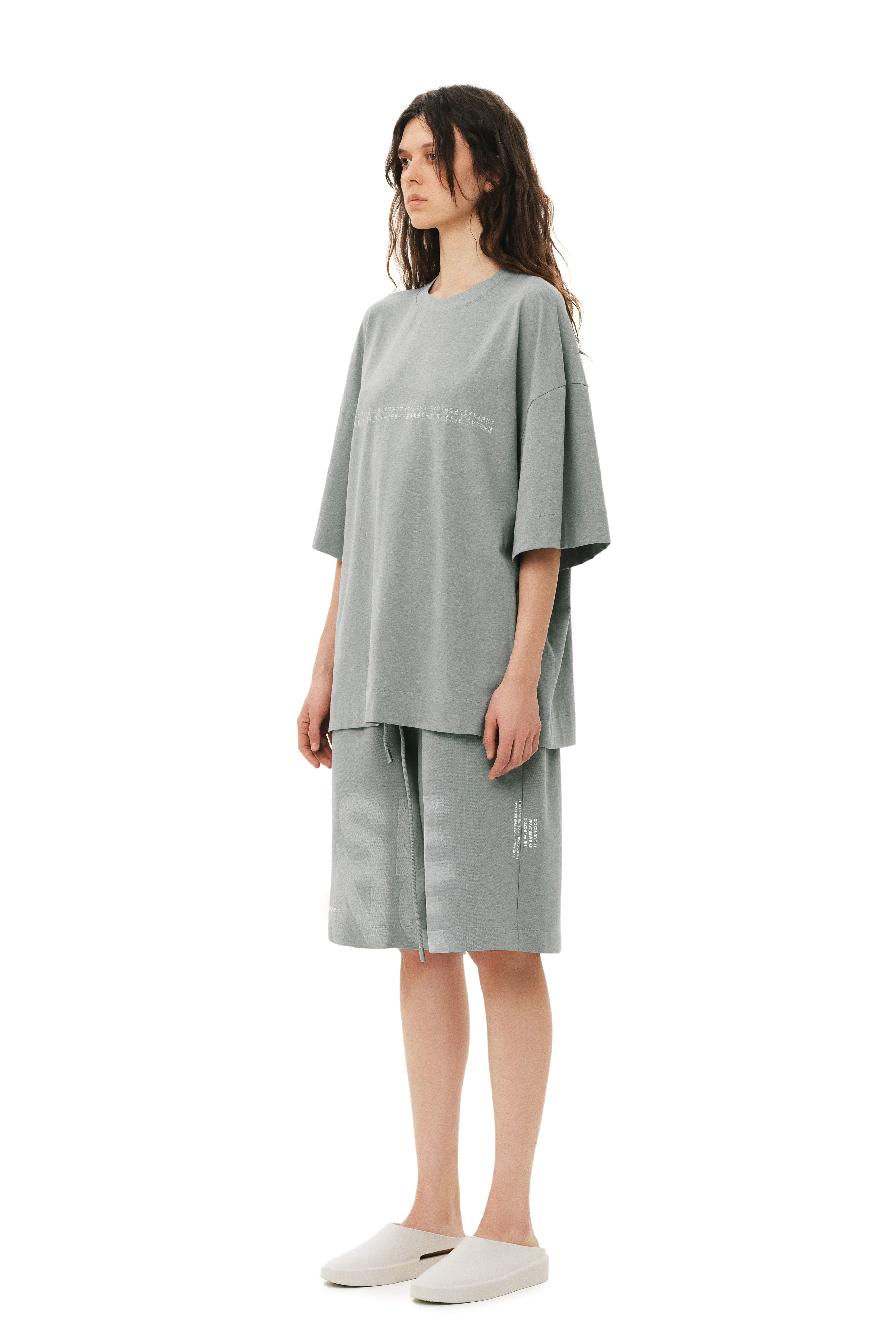 Argentinosaurus Oversized T-Shirt