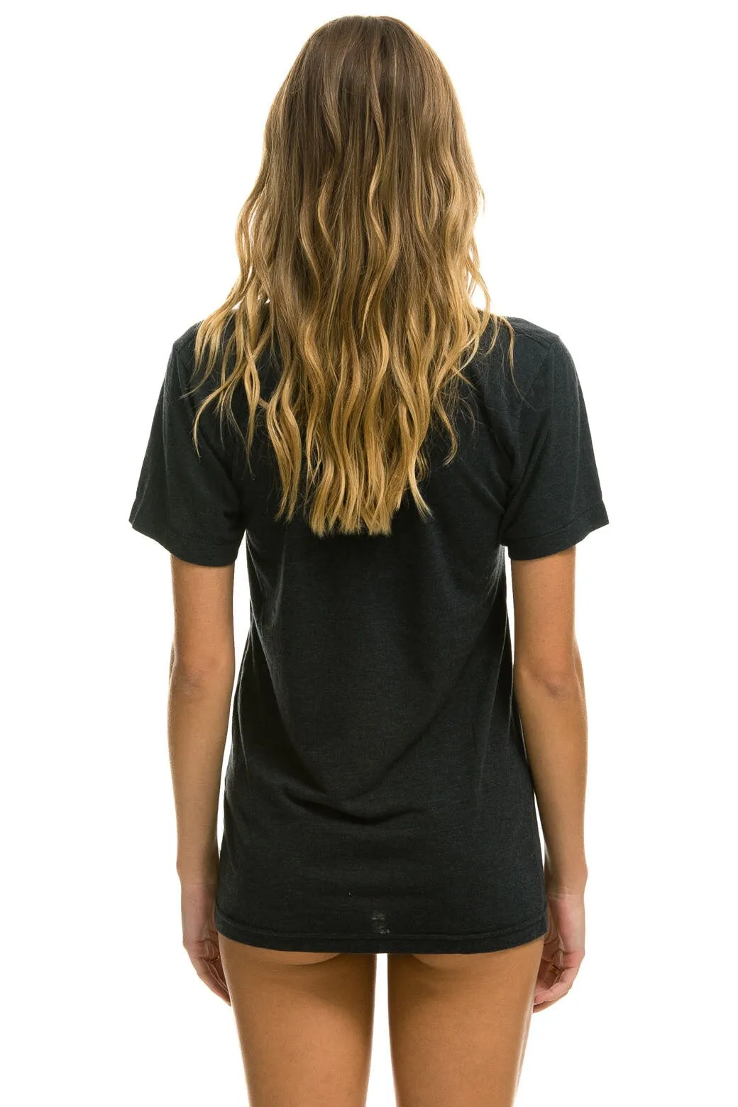 AVIATOR NATION HAMPTONS UNISEX CREW TEE - CHARCOAL