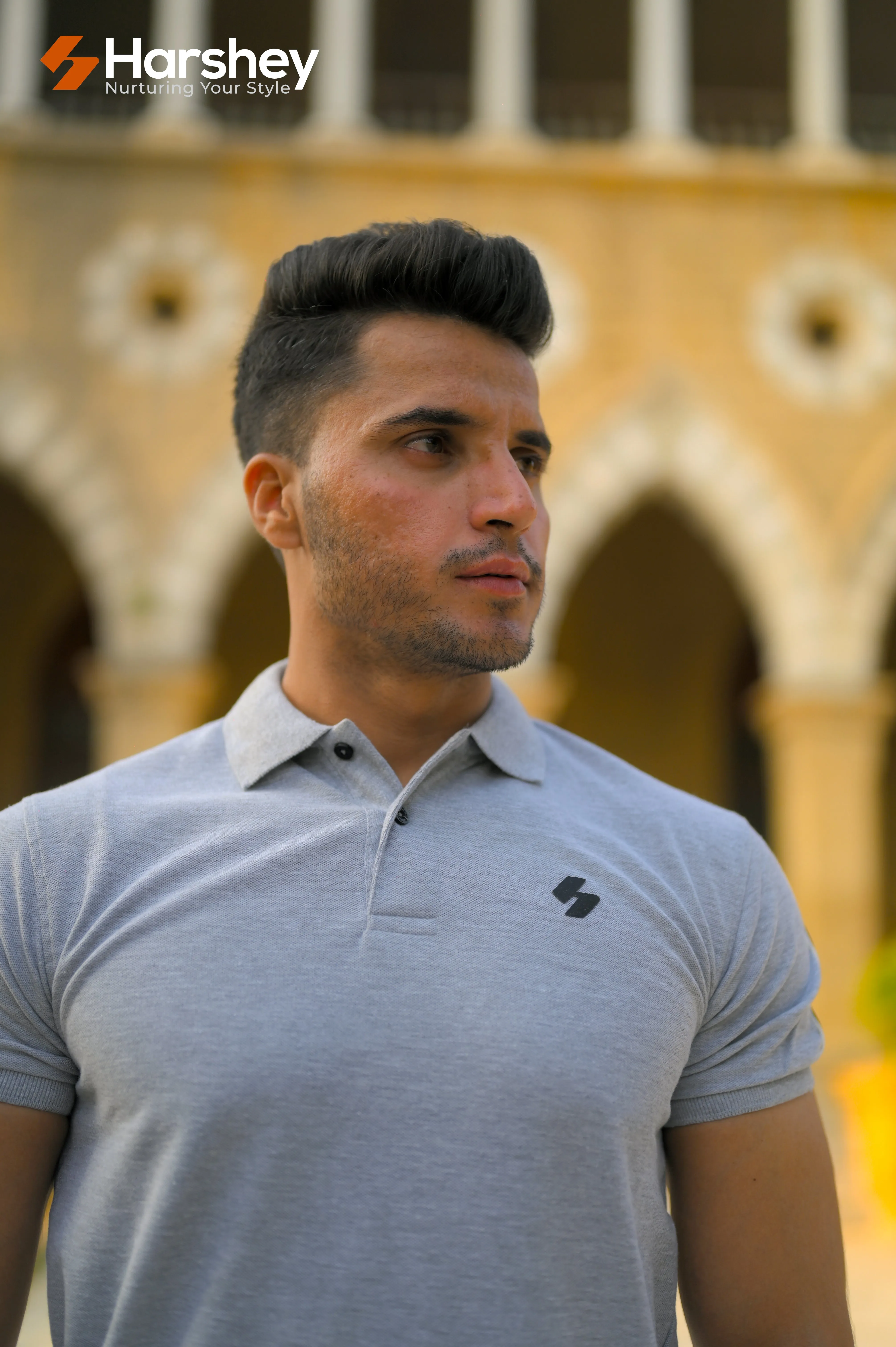 Classic Grey Polo with Black Stripes on Sleeves