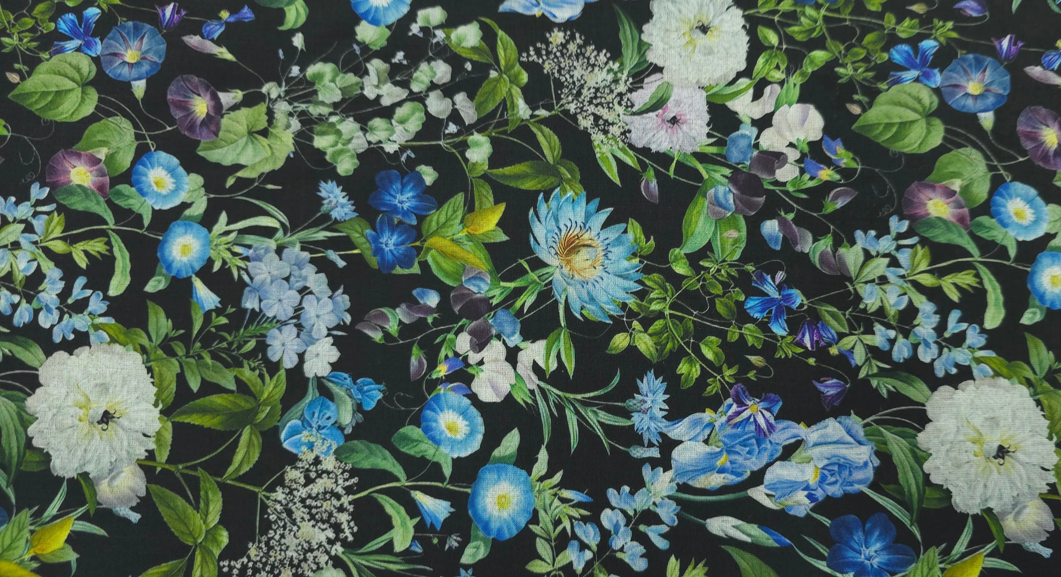 Cotton Voile Reverie