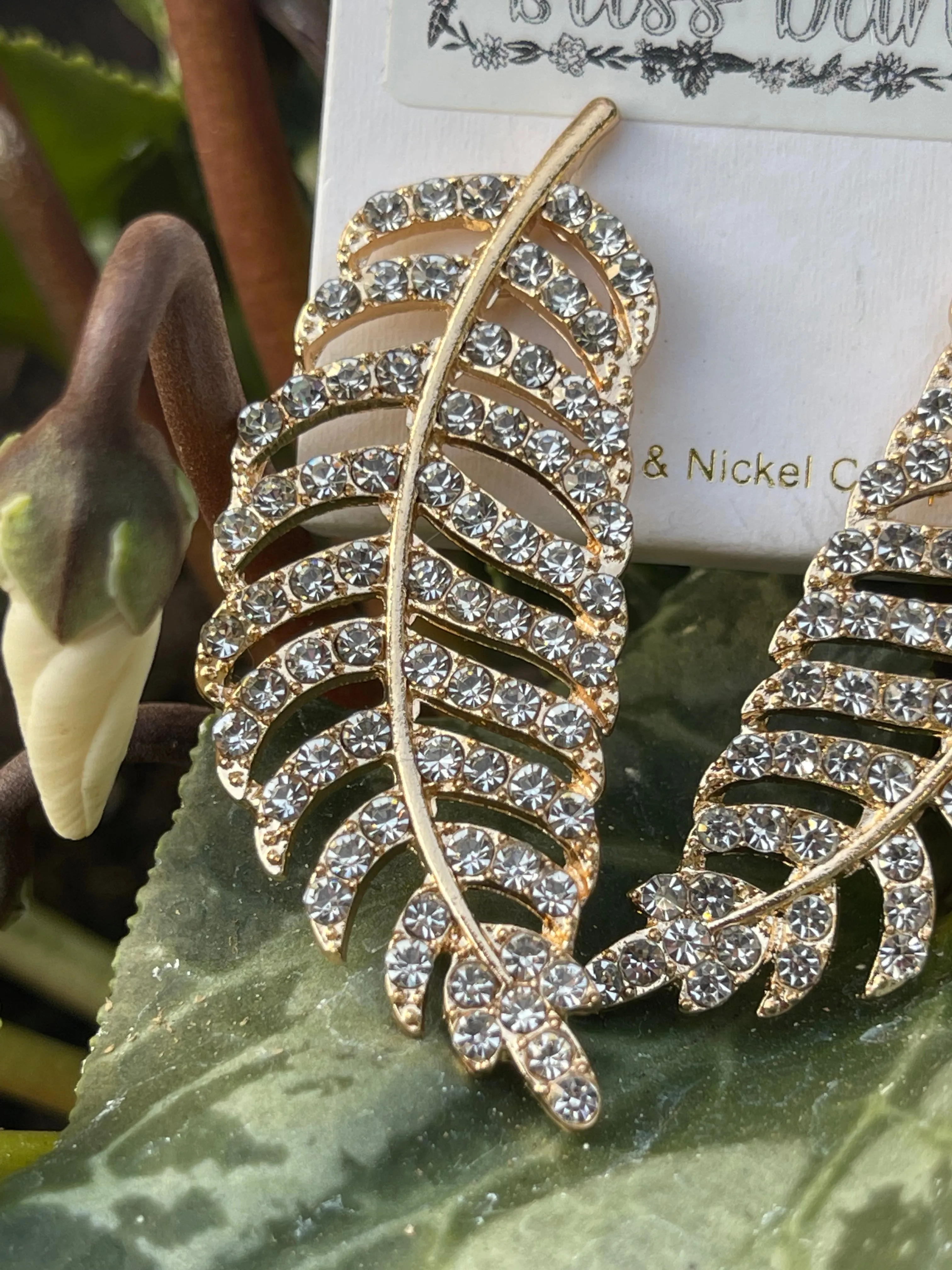 Feather Beauty Earrings
