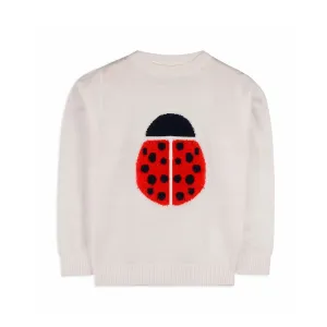 Ladybug Sweater
