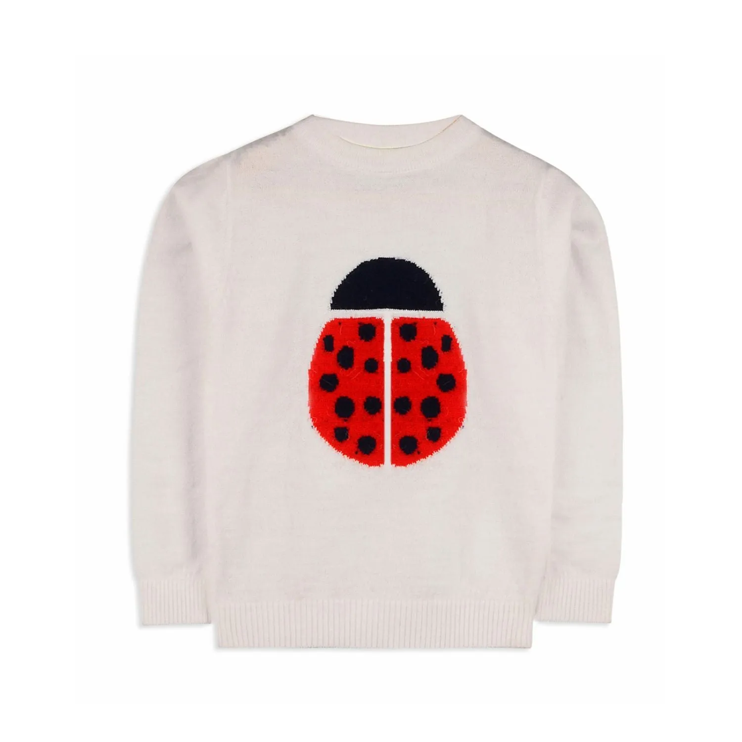 Ladybug Sweater