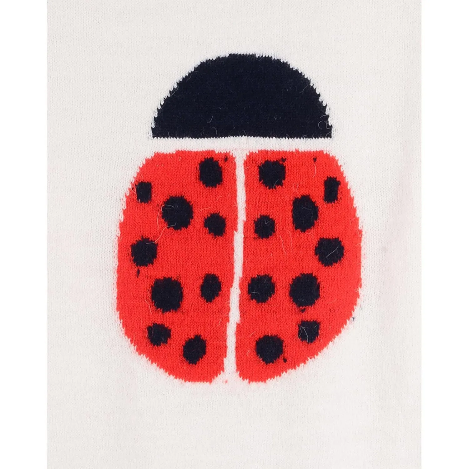 Ladybug Sweater