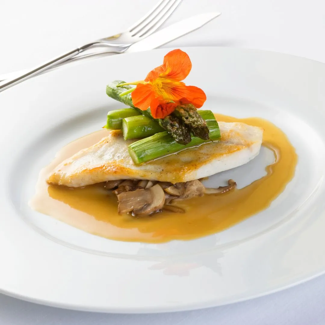Turbot