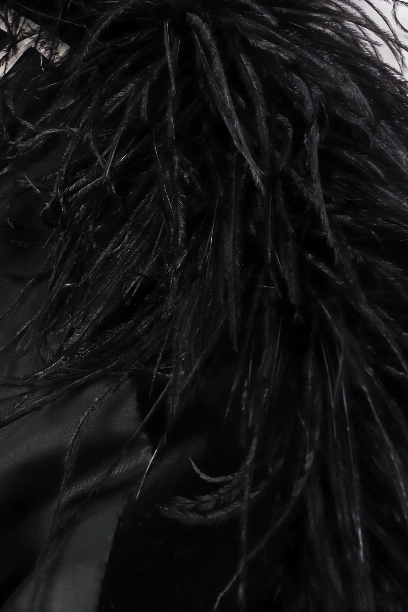 Velvet Ostrich Feather Trim Jacket