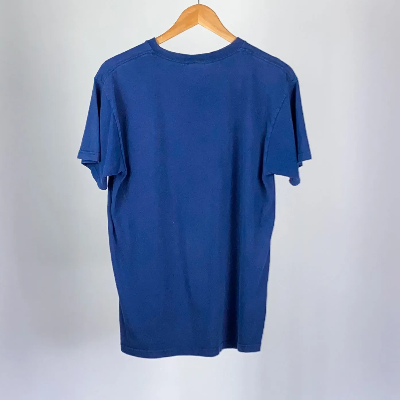 Vintage University of Illinois Tee - Medium